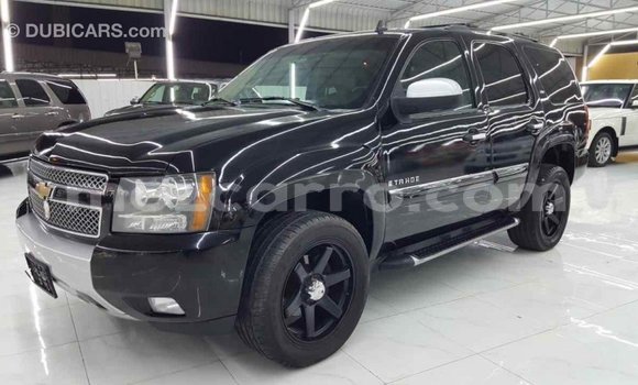 Buy Import Chevrolet Tahoe Black Car in Import - Dubai in Cabo Delgado Buy Import Chevrolet Tahoe Black Car in Import - Dubai in Cabo Delgado