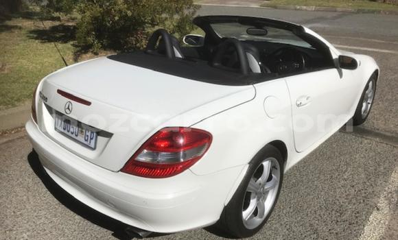 Comprar Usado Mercedes‒Benz SLK-Class Branco Carro em Maputo em Maputo Comprar Usado Mercedes‒Benz SLK-Class Branco Carro em Maputo em Maputo