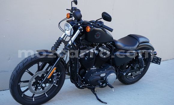 Buy Used Harley Davidson IRON Black Bike in Maputo in Maputo Buy Used Harley Davidson IRON Black Bike in Maputo in Maputo