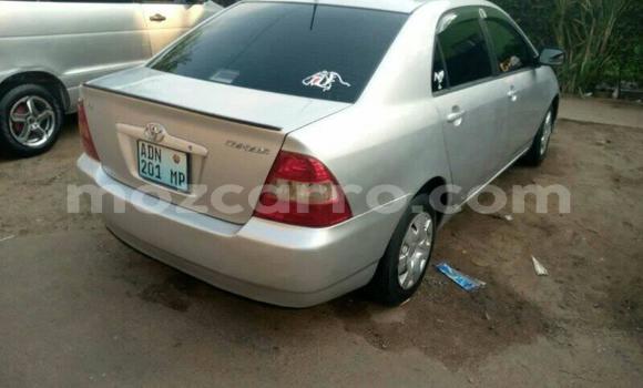 Buy Used Toyota Corolla Silver Car in Maputo in Maputo Buy Used Toyota Corolla Silver Car in Maputo in Maputo