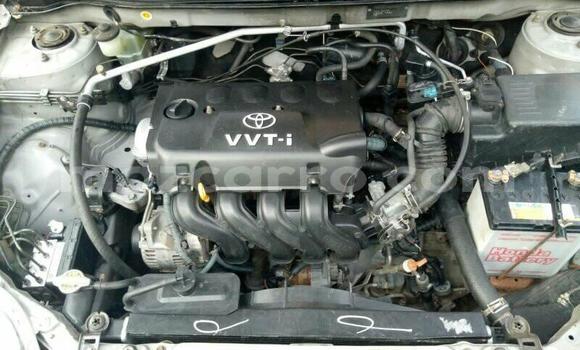 Buy Used Toyota Corolla Silver Car in Maputo in Maputo Buy Used Toyota Corolla Silver Car in Maputo in Maputo