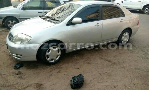 Buy Used Toyota Corolla Silver Car in Maputo in Maputo Buy Used Toyota Corolla Silver Car in Maputo in Maputo