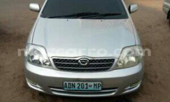 Buy Used Toyota Corolla Silver Car in Maputo in Maputo Buy Used Toyota Corolla Silver Car in Maputo in Maputo