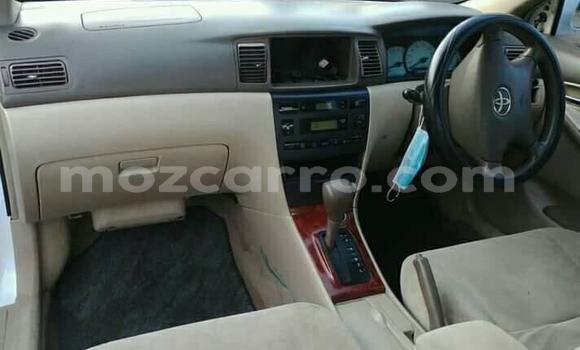 Buy Used Toyota Corolla White Car in Maputo in Maputo Buy Used Toyota Corolla White Car in Maputo in Maputo