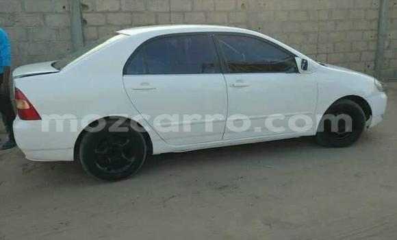 Buy Used Toyota Corolla White Car in Maputo in Maputo Buy Used Toyota Corolla White Car in Maputo in Maputo