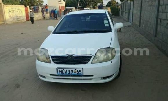 Buy Used Toyota Corolla White Car in Maputo in Maputo Buy Used Toyota Corolla White Car in Maputo in Maputo