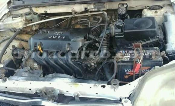 Buy Used Toyota Corolla White Car in Maputo in Maputo Buy Used Toyota Corolla White Car in Maputo in Maputo