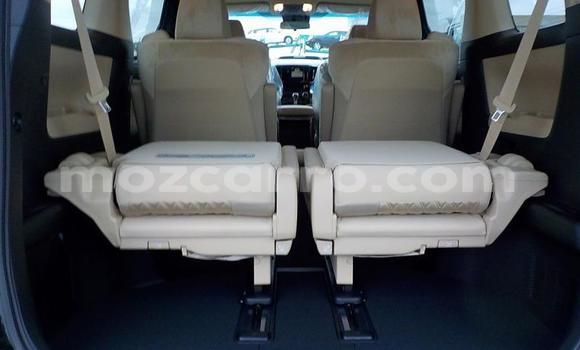 Tenga Tsaru Toyota Alphard Nhema Mota in Manica in Manica Tenga Tsaru Toyota Alphard Nhema Mota in Manica in Manica