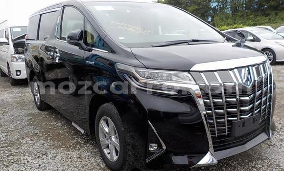 Tenga Tsaru Toyota Alphard Nhema Mota in Manica in Manica Tenga Tsaru Toyota Alphard Nhema Mota in Manica in Manica