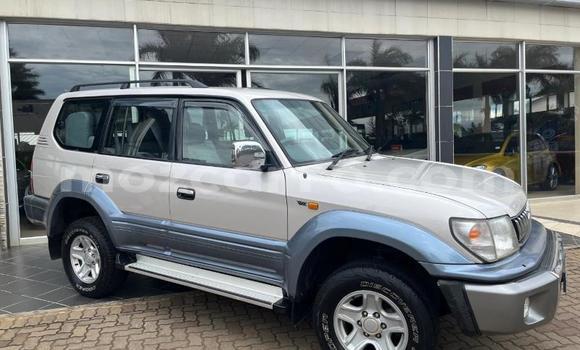 Tenga Tsaru Toyota Land Cruiser Prado Zvimwe Mota in Nampula in Nampula Tenga Tsaru Toyota Land Cruiser Prado Zvimwe Mota in Nampula in Nampula