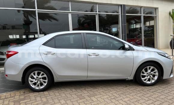 Tenga Tsaru Toyota Corolla Sirivha Mota in Nampula in Nampula Tenga Tsaru Toyota Corolla Sirivha Mota in Nampula in Nampula