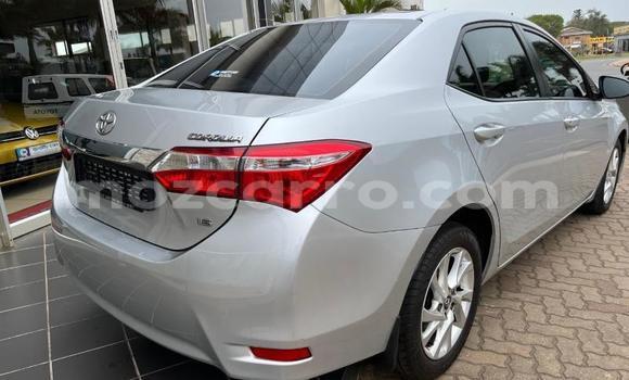 Tenga Tsaru Toyota Corolla Sirivha Mota in Nampula in Nampula Tenga Tsaru Toyota Corolla Sirivha Mota in Nampula in Nampula