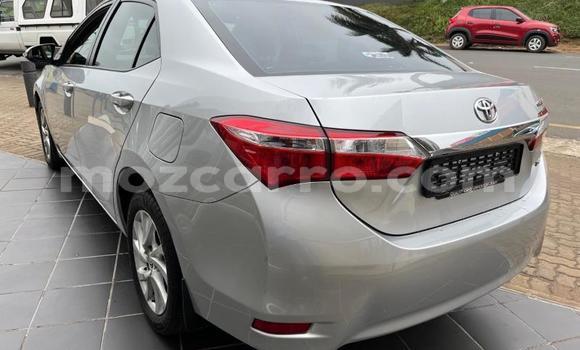Tenga Tsaru Toyota Corolla Sirivha Mota in Nampula in Nampula Tenga Tsaru Toyota Corolla Sirivha Mota in Nampula in Nampula