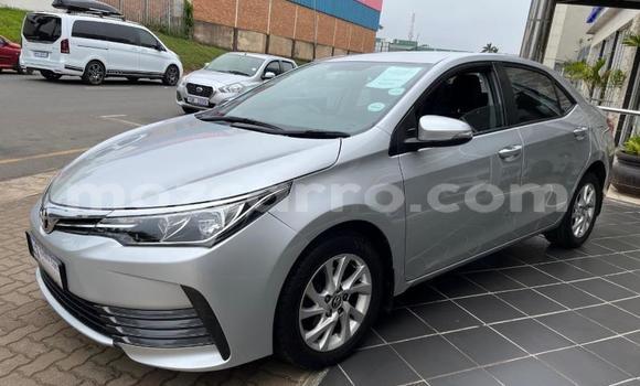 Tenga Tsaru Toyota Corolla Sirivha Mota in Nampula in Nampula Tenga Tsaru Toyota Corolla Sirivha Mota in Nampula in Nampula