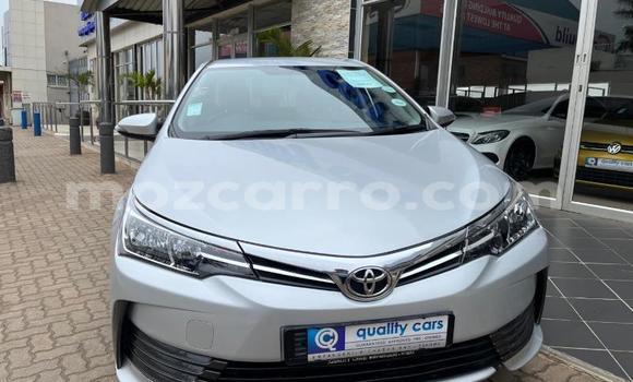 Tenga Tsaru Toyota Corolla Sirivha Mota in Nampula in Nampula Tenga Tsaru Toyota Corolla Sirivha Mota in Nampula in Nampula