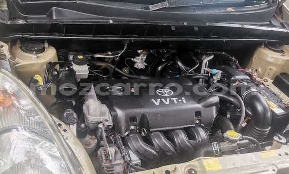 Buy Used Toyota FunCargo Brown Car in Maputo in Maputo Buy Used Toyota FunCargo Brown Car in Maputo in Maputo