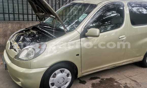 Buy Used Toyota FunCargo Brown Car in Maputo in Maputo Buy Used Toyota FunCargo Brown Car in Maputo in Maputo