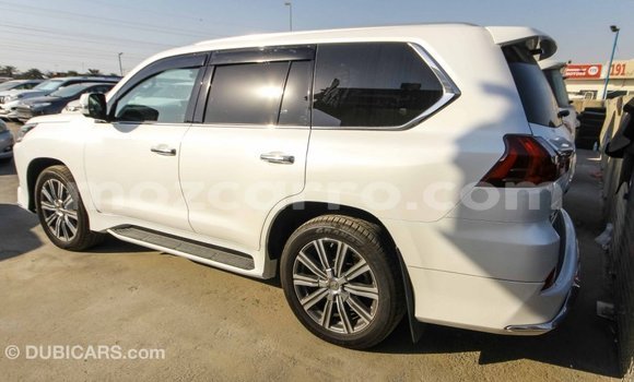 Comprar Importar Lexus LX Branco Carro em Import - Dubai em Cabo Delgado