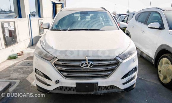 Comprar Importar Hyundai Tucson Branco Carro em Import - Dubai em Cabo Delgado Comprar Importar Hyundai Tucson Branco Carro em Import - Dubai em Cabo Delgado