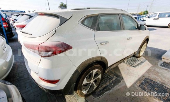 Comprar Importar Hyundai Tucson Branco Carro em Import - Dubai em Cabo Delgado Comprar Importar Hyundai Tucson Branco Carro em Import - Dubai em Cabo Delgado