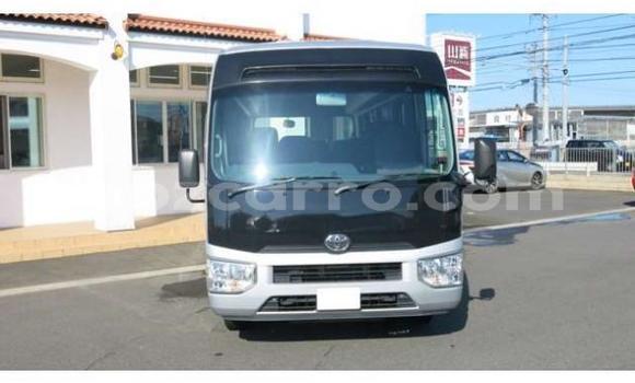 Nunua Ilio tumika Toyota Coaster Nyingine Gari ndani ya Inhambane nchini Inhambane Nunua Ilio tumika Toyota Coaster Nyingine Gari ndani ya Inhambane nchini Inhambane