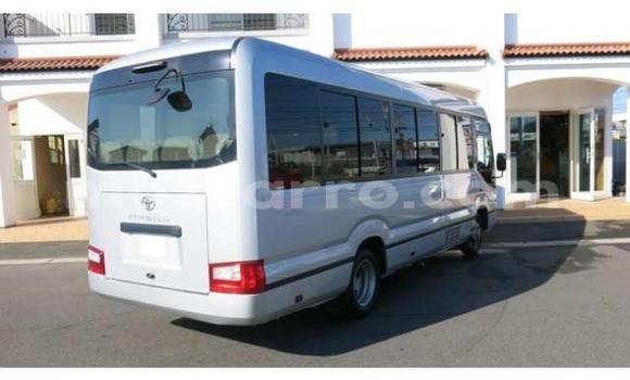 Nunua Ilio tumika Toyota Coaster Nyingine Gari ndani ya Inhambane nchini Inhambane Nunua Ilio tumika Toyota Coaster Nyingine Gari ndani ya Inhambane nchini Inhambane