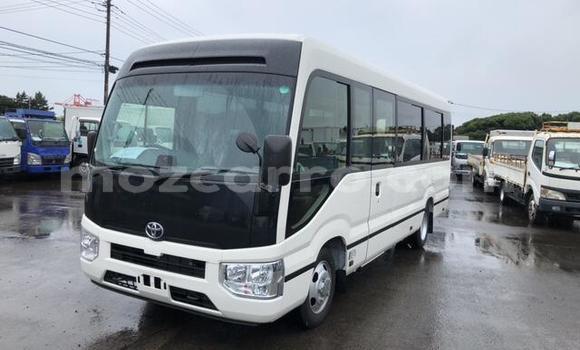 Comprar Importar Toyota Coaster De outros Carro em Manica em Manica