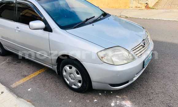 Buy Used Toyota Corolla Other Car in Maputo in Maputo Buy Used Toyota Corolla Other Car in Maputo in Maputo