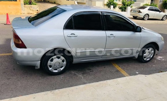 Buy Used Toyota Corolla Other Car in Maputo in Maputo Buy Used Toyota Corolla Other Car in Maputo in Maputo