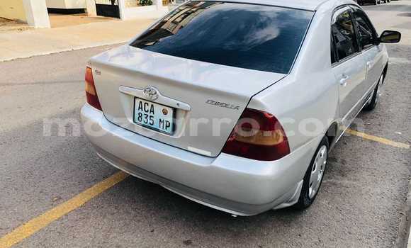Buy Used Toyota Corolla Other Car in Maputo in Maputo Buy Used Toyota Corolla Other Car in Maputo in Maputo