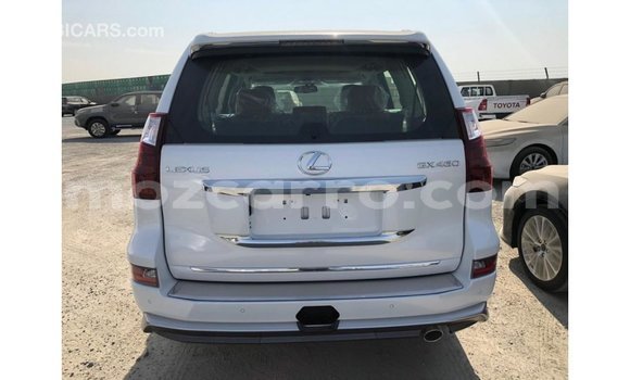 Buy Import Lexus GX White Car in Import - Dubai in Cabo Delgado Buy Import Lexus GX White Car in Import - Dubai in Cabo Delgado