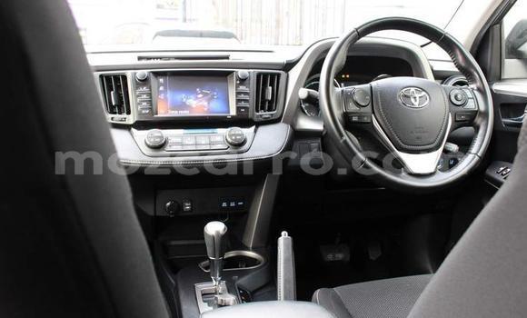 Buy Import Toyota RAV4 Black Car in Balama in Cabo Delgado Buy Import Toyota RAV4 Black Car in Balama in Cabo Delgado