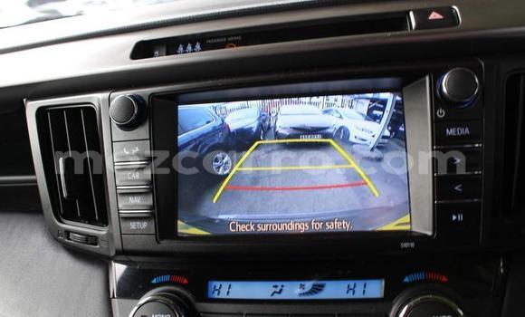 Buy Import Toyota RAV4 Black Car in Balama in Cabo Delgado Buy Import Toyota RAV4 Black Car in Balama in Cabo Delgado