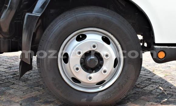 Tenga Tsaru Hino 300 Series Chena Rori in Manica in Manica Tenga Tsaru Hino 300 Series Chena Rori in Manica in Manica