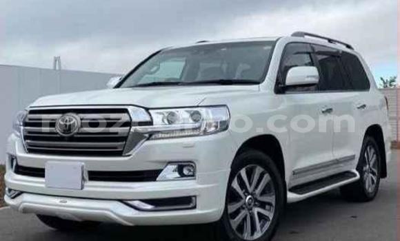 Buy Import Toyota Land Cruiser White Car in Inhambane in Inhambane Buy Import Toyota Land Cruiser White Car in Inhambane in Inhambane