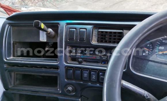 Tenga Tsaru Nissan UD Chena Rori in Maputo in Maputo Tenga Tsaru Nissan UD Chena Rori in Maputo in Maputo