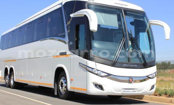 Tenga Tsaru Mercedes‒Benz 1213 Chena Rori in Maputo in Maputo Tenga Tsaru Mercedes‒Benz 1213 Chena Rori in Maputo in Maputo