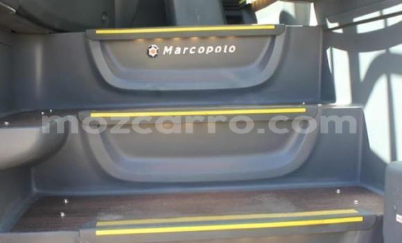 Tenga Tsaru Mercedes‒Benz 1213 Chena Rori in Maputo in Maputo Tenga Tsaru Mercedes‒Benz 1213 Chena Rori in Maputo in Maputo