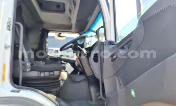 Nunua Ilio tumika Mercedes‒Benz 2628 Nyeupe Lori ndani ya Gilé nchini Zambezia Nunua Ilio tumika Mercedes‒Benz 2628 Nyeupe Lori ndani ya Gilé nchini Zambezia