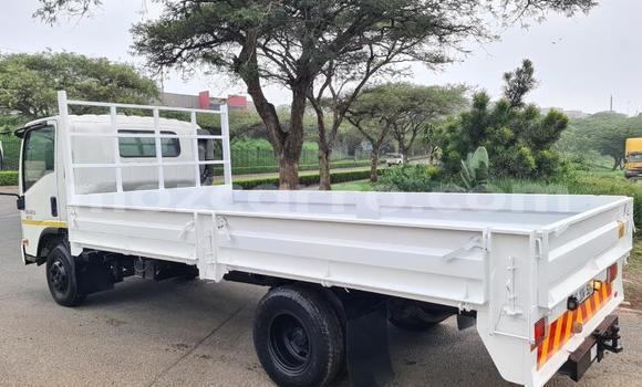 Tenga Tsaru Isuzu Bighorn Chena Rori in Gilé in Zambezia Tenga Tsaru Isuzu Bighorn Chena Rori in Gilé in Zambezia