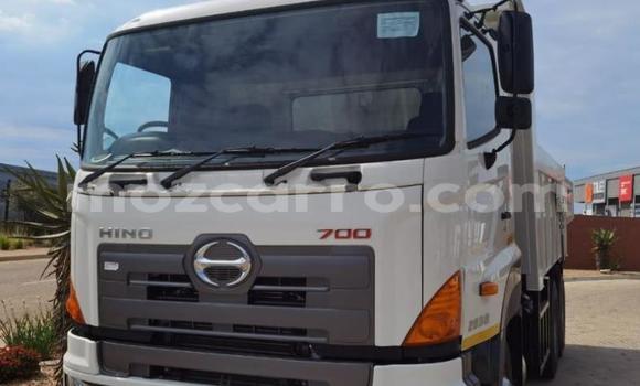 Tenga Tsaru Hino Ranger Chena Rori in Nampula in Nampula Tenga Tsaru Hino Ranger Chena Rori in Nampula in Nampula