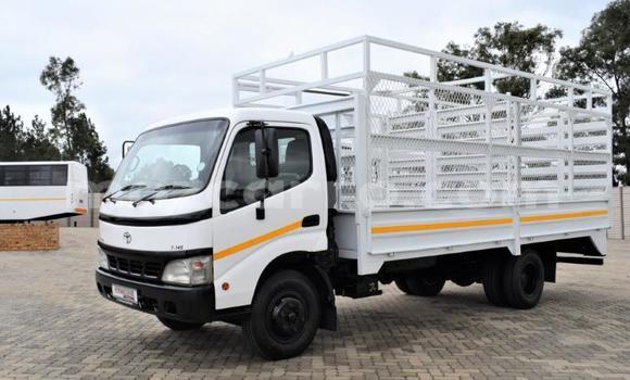 Buy Used Hino 300 Series White Truck in Maputo in Maputo Buy Used Hino 300 Series White Truck in Maputo in Maputo