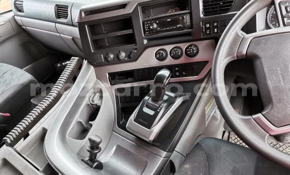 Tenga Tsaru Nissan UD Chena Rori in Maputo in Maputo Tenga Tsaru Nissan UD Chena Rori in Maputo in Maputo