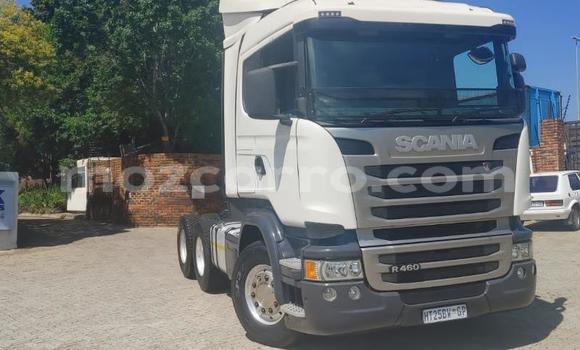 Comprar Usado Scania R420 Branco Caminhão em Maputo em Maputo Comprar Usado Scania R420 Branco Caminhão em Maputo em Maputo