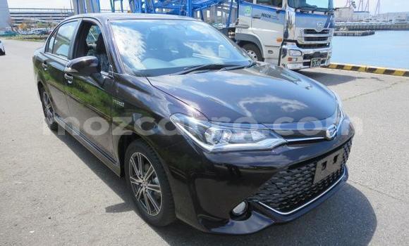 Buy Used Toyota Axio Other Car in Inhambane in Inhambane Buy Used Toyota Axio Other Car in Inhambane in Inhambane