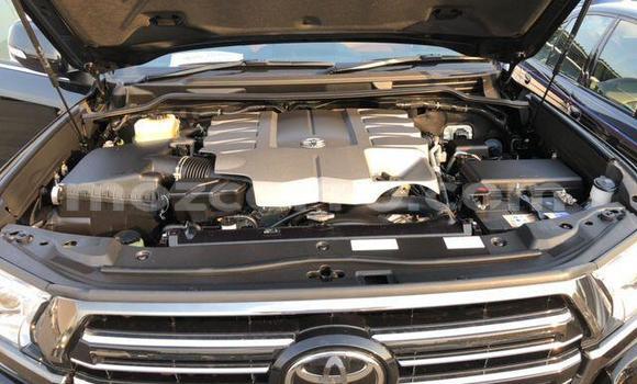 Nunua Ilio tumika Toyota Land Cruiser Nyeusi Gari ndani ya Manhiça nchini Maputo Nunua Ilio tumika Toyota Land Cruiser Nyeusi Gari ndani ya Manhiça nchini Maputo