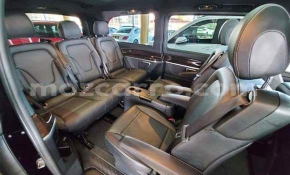 Tenga Tsaru Mercedes‒Benz Viano Nhema Mota in Achachinja in Tete Tenga Tsaru Mercedes‒Benz Viano Nhema Mota in Achachinja in Tete