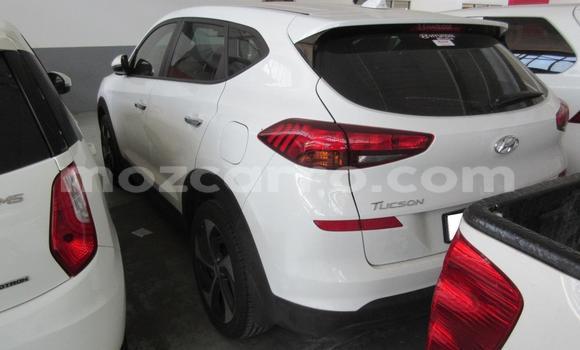 Comprar Usado Hyundai Tucson Branco Carro em Beira em Sofala Comprar Usado Hyundai Tucson Branco Carro em Beira em Sofala