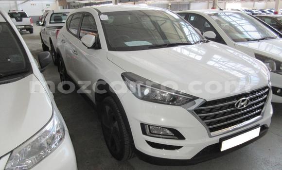 Comprar Usado Hyundai Tucson Branco Carro em Beira em Sofala Comprar Usado Hyundai Tucson Branco Carro em Beira em Sofala