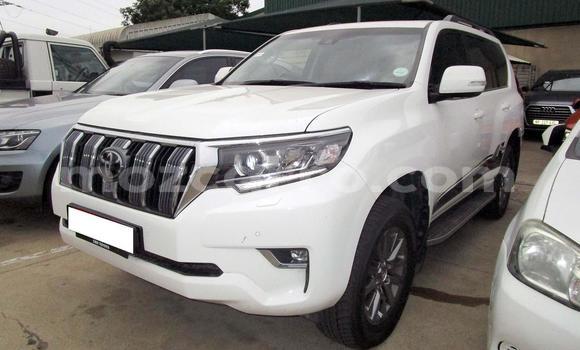 Comprar Usado Toyota Prado Branco Carro em Beira em Sofala Comprar Usado Toyota Prado Branco Carro em Beira em Sofala